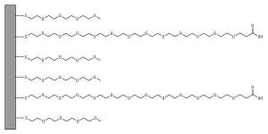 Pegylation reagent, CT(PEG)₁₂<sub> </sub>carboxy-PEG-thiol compound