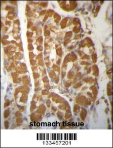 Anti-LAMTOR2 Rabbit Polyclonal Antibody