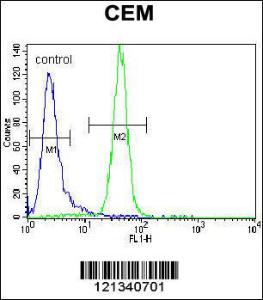 Anti-PPARA Rabbit Polyclonal Antibody