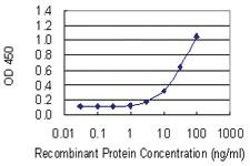 Anti-MIA2 Mouse Monoclonal Antibody [clone: 2B9]