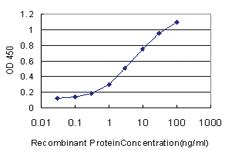 Anti-SCGB3A2 Mouse Monoclonal Antibody [clone: 1B2]