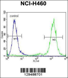 Anti-ZSCAN5B Rabbit Polyclonal Antibody (APC (Allophycocyanin))