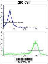 Anti-ESRRA Rabbit Polyclonal Antibody (APC (Allophycocyanin))