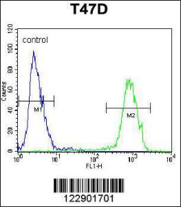 Anti-PENK Rabbit Polyclonal Antibody (AP (Alkaline Phosphatase))