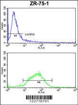 Anti-HSPA4L Rabbit Polyclonal Antibody (Biotin)