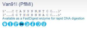 FERMER0711 - ENZYME VAN91I 400 UNITS