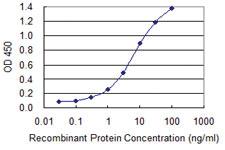 Anti-SAV1 Mouse Monoclonal Antibody [clone: 3A10]