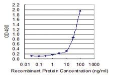 Anti-HMGB1 Mouse Monoclonal Antibody (Biotin)