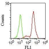 Flow cytometric analysis of human PBMCs using Anti-CD11c Antibody [HC1/1]