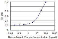 Anti-SH2D1B Mouse Monoclonal Antibody [clone: 2B4]