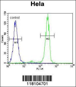 Anti-MED7 Rabbit Polyclonal Antibody (FITC (Fluorescein Isothiocyanate))