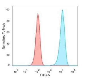 Flow cytometric analysis of PFA-fixed MCF-7 cells using Anti-Lactoferrin Antibody [LTF/4073] followed by Goat Anti-Mouse IgG (CF&#174; 488) (Blue). Isotype Control (Red)