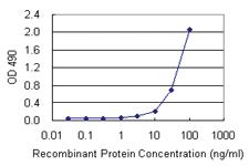 Anti-HMGB1 Mouse Monoclonal Antibody (Biotin)