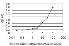 Anti-TLR9 Mouse Monoclonal Antibody [clone: 1E8]