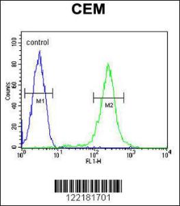 Anti-CFP Rabbit Polyclonal Antibody (FITC (Fluorescein Isothiocyanate))