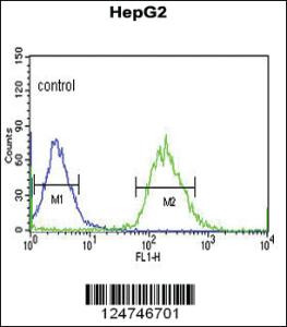 Anti-OR6K2 Rabbit Polyclonal Antibody