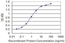 Anti-IGKC Mouse Monoclonal Antibody [clone: 1F6]