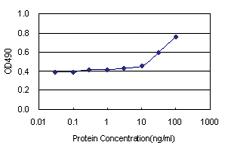 Anti-UBL4A Polyclonal Antibody Pair