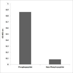 ELISA for immunogen phosphopeptide (left) and non-phosphopeptide (right) using Anti-Histone H2AX (phospho Ser139) Antibody