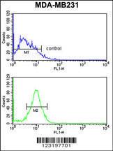 Anti-PEX14 Rabbit Polyclonal Antibody (FITC (Fluorescein Isothiocyanate))