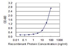 Anti-HMGB1 Mouse Monoclonal Antibody (Biotin)