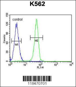 Anti-PLEKHA4 Rabbit Polyclonal Antibody (FITC (Fluorescein Isothiocyanate))