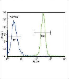 Anti-LYN Rabbit Polyclonal Antibody (FITC (Fluorescein))