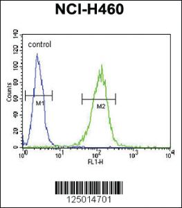 Anti-COQ9 Rabbit Polyclonal Antibody