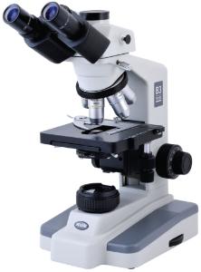 Microscopes droits, B3