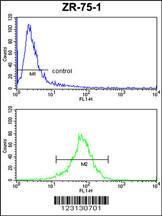 Anti-CHIA Rabbit Polyclonal Antibody