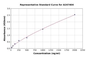 Representative standard curve for Rat Lysozyme C ELISA kit (A247404)