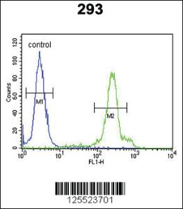 Anti-ERMN Rabbit Polyclonal Antibody