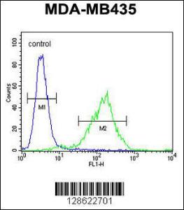 Anti-CK073 Rabbit Polyclonal Antibody (AP (Alkaline Phosphatase))