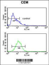 Anti-HPX Rabbit Polyclonal Antibody (FITC (Fluorescein))