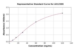 Representative standard curve for Mouse Factor D/CFD ELISA kit (A312599)