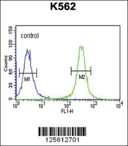 Anti-HSP90B1 Rabbit Polyclonal Antibody