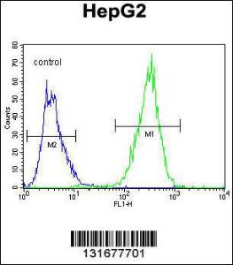 Anti-PPARD Rabbit Polyclonal Antibody (APC (Allophycocyanin))