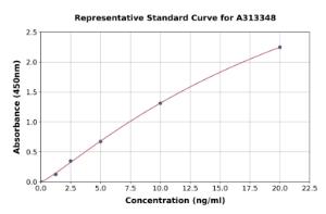 Representative standard curve for human AGMO ELISA kit (A313348)