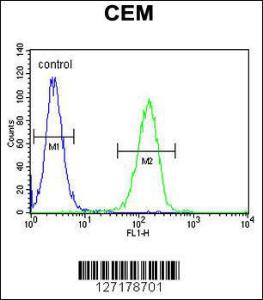 Anti-FAM105B Rabbit Polyclonal Antibody (HRP (Horseradish Peroxidase))