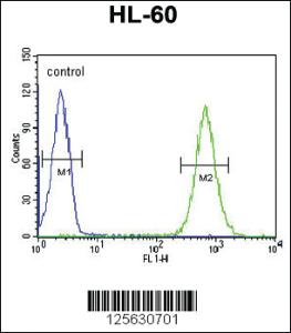 Anti-MILK2 Rabbit Polyclonal Antibody