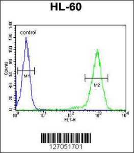 Anti-SIA8C Rabbit Polyclonal Antibody (APC (Allophycocyanin))