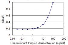 Anti-MMRN1 Mouse Monoclonal Antibody [clone: 1G10]