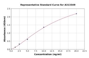 Representative standard curve for human MATH2/NEUROD6 ELISA kit (A313349)