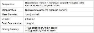 Protein magnetic beads, Protein A, Protein G, Pierce™