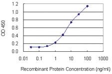 Anti-KIRREL3 Mouse Monoclonal Antibody [clone: 3A12]