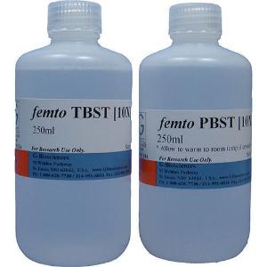 femto wash buffers