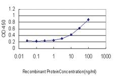 Anti-PAX7 Mouse Monoclonal Antibody [clone: 1E12]