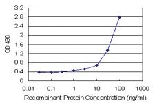 Anti-HMGB2 Mouse Monoclonal Antibody (Biotin)