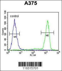 Anti-TECPR1 Rabbit Polyclonal Antibody