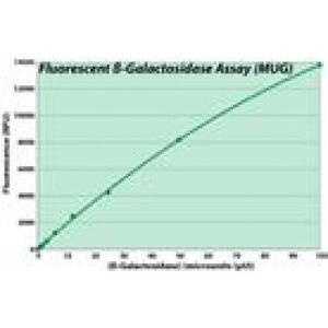 Kit de dosage de β-galactosidase fluorescent